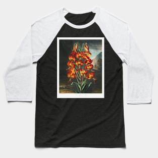 The Superb Lily Baseball T-Shirt